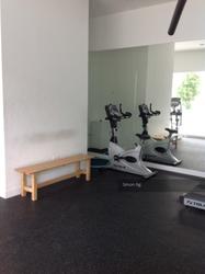 Suites @ Eastcoast (D15), Condominium #117993152
